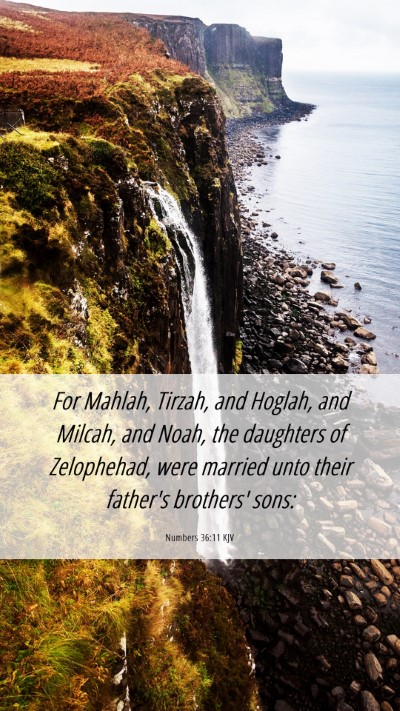 Picture 06 - Numbers 36:11 KJV Mobile Phone Wallpaper - For Mahlah, Tirzah, and Hoglah, and Milcah, and - Mobile Bible Verse Wallpaper