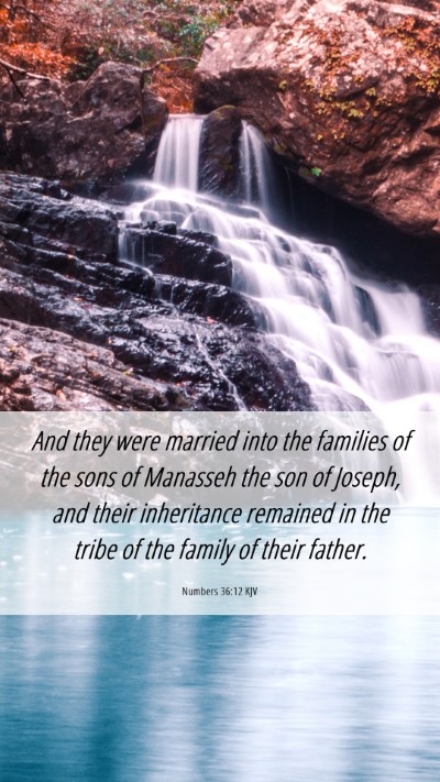 Picture 06 - Numbers 36:12 KJV Mobile Phone Wallpaper - And they were married into the families of the - Mobile Bible Verse Wallpaper