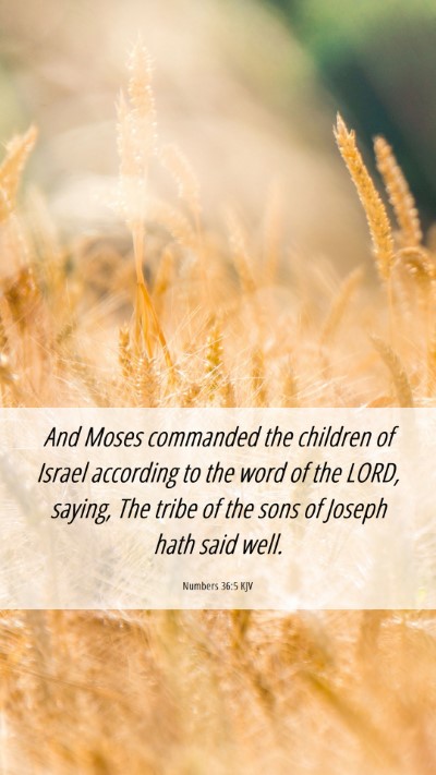 Picture 06 - Numbers 36:5 KJV Mobile Phone Wallpaper - And Moses commanded the children of Israel - Mobile Bible Verse Wallpaper