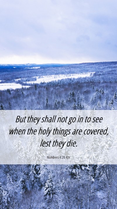 Picture 06 - Numbers 4:20 KJV Mobile Phone Wallpaper - But they shall not go in to see when the holy - Mobile Bible Verse Wallpaper