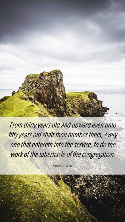 Picture 06 - Numbers 4:30 KJV Mobile Phone Wallpaper - From thirty years old and upward even unto fifty - Mobile Bible Verse Wallpaper
