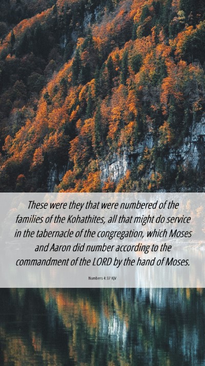 Picture 06 - Numbers 4:37 KJV Mobile Phone Wallpaper - These were they that were numbered of the - Mobile Bible Verse Wallpaper