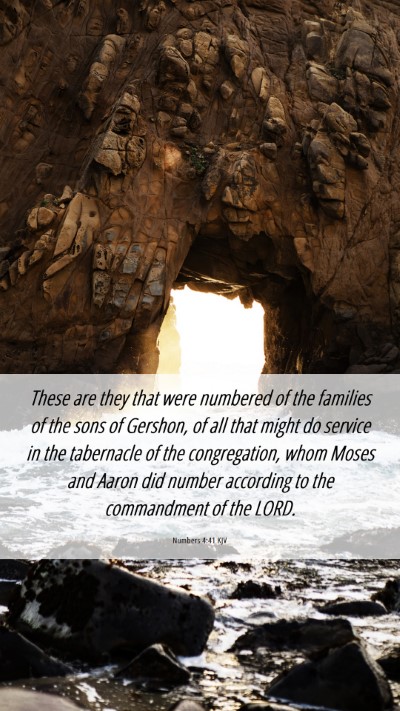 Picture 06 - Numbers 4:41 KJV Mobile Phone Wallpaper - These are they that were numbered of the families - Mobile Bible Verse Wallpaper
