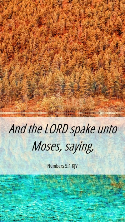 Picture 06 - Numbers 5:1 KJV Mobile Phone Wallpaper - And the LORD spake unto Moses, - Mobile Bible Verse Wallpaper
