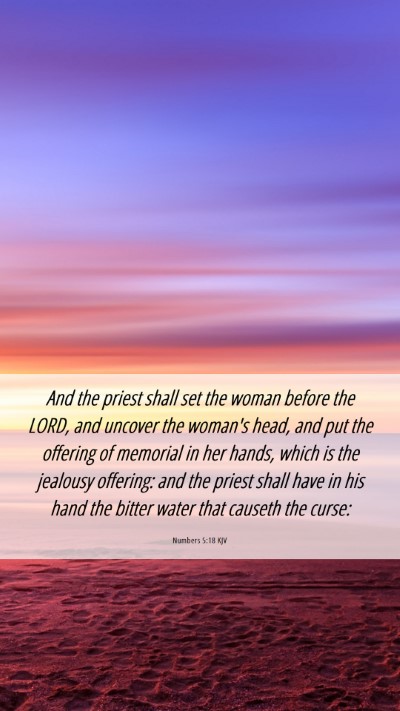 Picture 06 - Numbers 5:18 KJV Mobile Phone Wallpaper - And the priest shall set the woman before the - Mobile Bible Verse Wallpaper