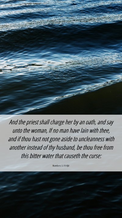 Picture 06 - Numbers 5:19 KJV Mobile Phone Wallpaper - And the priest shall charge her by an oath, and - Mobile Bible Verse Wallpaper