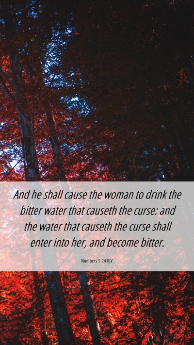 Picture 06 - Numbers 5:24 KJV Mobile Phone Wallpaper - And he shall cause the woman to drink the bitter - Mobile Bible Verse Wallpaper