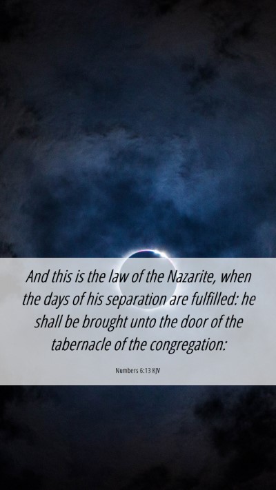 Picture 06 - Numbers 6:13 KJV Mobile Phone Wallpaper - And this is the law of the Nazarite, when the - Mobile Bible Verse Wallpaper