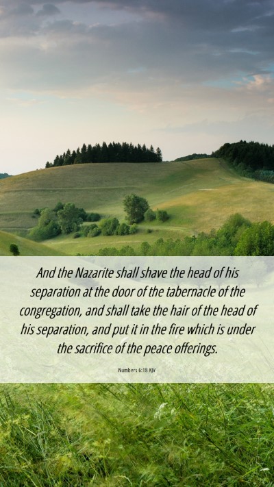 Picture 06 - Numbers 6:18 KJV Mobile Phone Wallpaper - And the Nazarite shall shave the head of his - Mobile Bible Verse Wallpaper