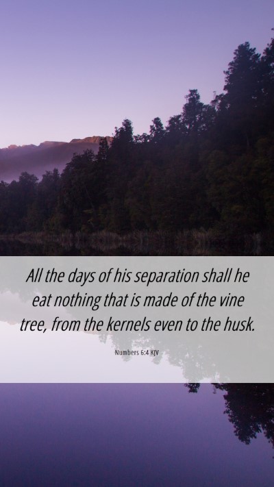 Picture 06 - Numbers 6:4 KJV Mobile Phone Wallpaper - All the days of his separation shall he eat - Mobile Bible Verse Wallpaper