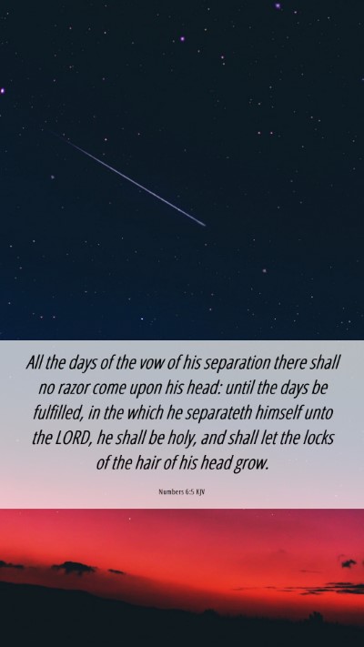 Picture 06 - Numbers 6:5 KJV Mobile Phone Wallpaper - All the days of the vow of his separation there - Mobile Bible Verse Wallpaper