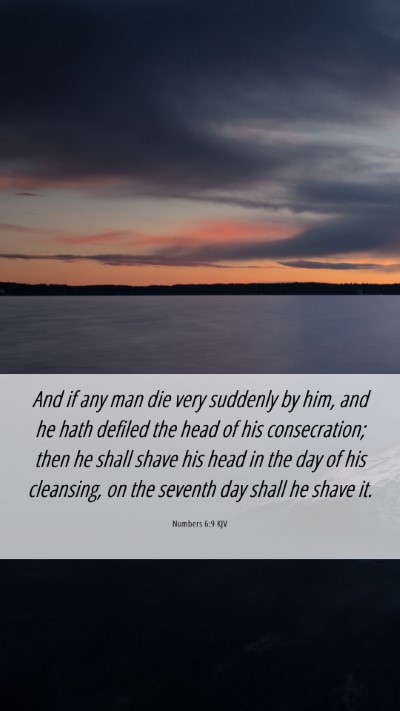 Picture 06 - Numbers 6:9 KJV Mobile Phone Wallpaper - And if any man die very suddenly by him, and he - Mobile Bible Verse Wallpaper