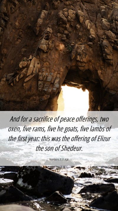 Picture 06 - Numbers 7:35 KJV Mobile Phone Wallpaper - And for a sacrifice of peace offerings, two oxen, - Mobile Bible Verse Wallpaper