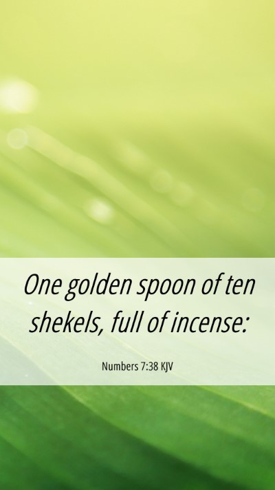 Picture 06 - Numbers 7:38 KJV Mobile Phone Wallpaper - One golden spoon of ten shekels, full of - Mobile Bible Verse Wallpaper