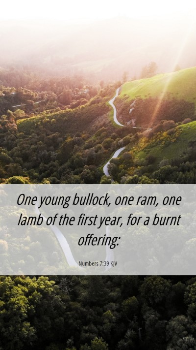 Picture 06 - Numbers 7:39 KJV Mobile Phone Wallpaper - One young bullock, one ram, one lamb of the first - Mobile Bible Verse Wallpaper
