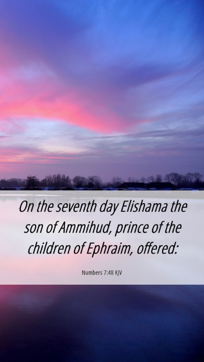 Picture 06 - Numbers 7:48 KJV Mobile Phone Wallpaper - On the seventh day Elishama the son of Ammihud, - Mobile Bible Verse Wallpaper