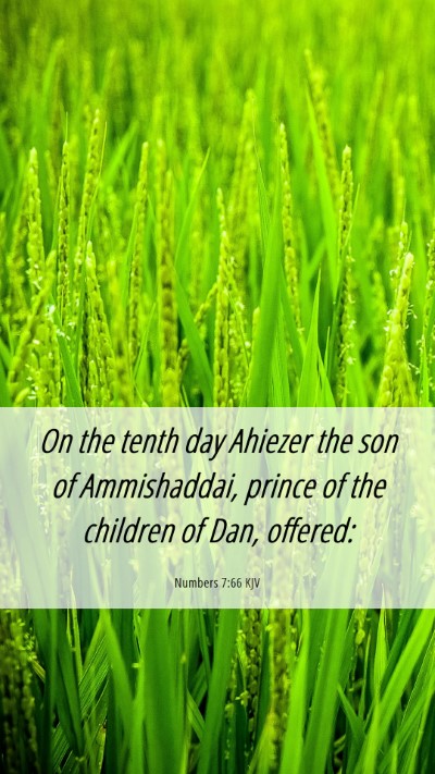 Picture 06 - Numbers 7:66 KJV Mobile Phone Wallpaper - On the tenth day Ahiezer the son of Ammishaddai, - Mobile Bible Verse Wallpaper