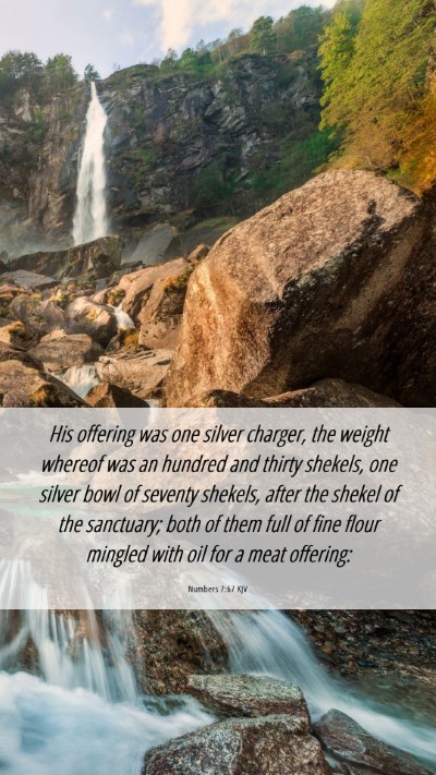 Picture 06 - Numbers 7:67 KJV Mobile Phone Wallpaper - His offering was one silver charger, the weight - Mobile Bible Verse Wallpaper