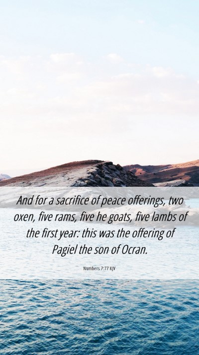 Picture 06 - Numbers 7:77 KJV Mobile Phone Wallpaper - And for a sacrifice of peace offerings, two oxen, - Mobile Bible Verse Wallpaper