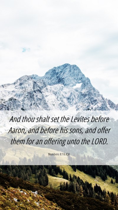 Picture 06 - Numbers 8:13 KJV Mobile Phone Wallpaper - And thou shalt set the Levites before Aaron, and - Mobile Bible Verse Wallpaper