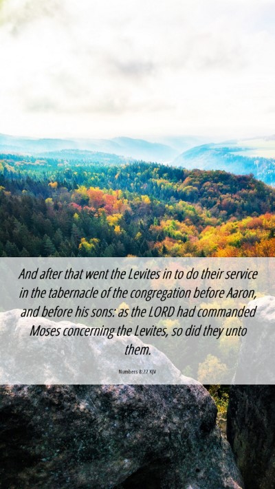 Picture 06 - Numbers 8:22 KJV Mobile Phone Wallpaper - And after that went the Levites in to do their - Mobile Bible Verse Wallpaper