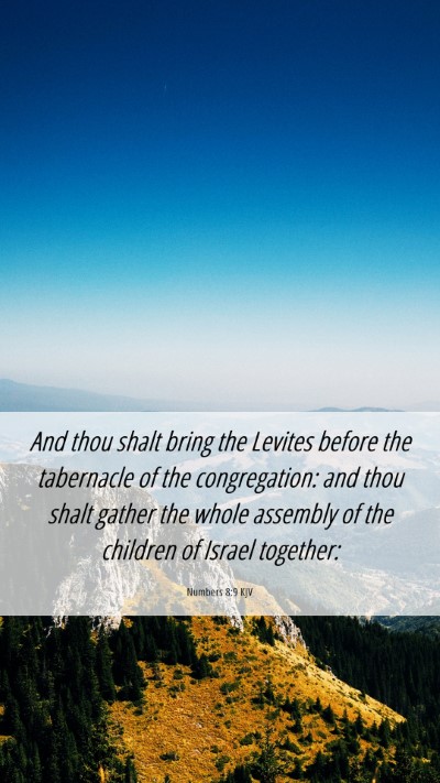 Picture 06 - Numbers 8:9 KJV Mobile Phone Wallpaper - And thou shalt bring the Levites before the - Mobile Bible Verse Wallpaper