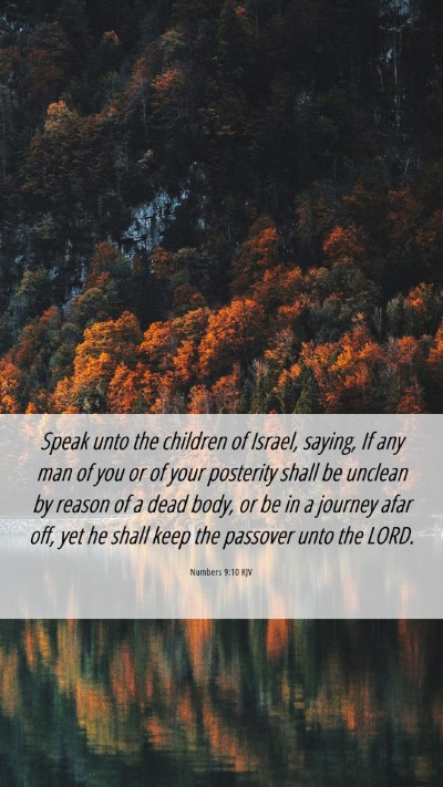 Picture 06 - Numbers 9:10 KJV Mobile Phone Wallpaper - Speak unto the children of Israel, saying, If any - Mobile Bible Verse Wallpaper
