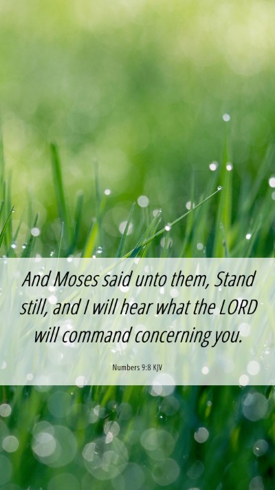 Picture 06 - Numbers 9:8 KJV Mobile Phone Wallpaper - And Moses said unto them, Stand still, and I will - Mobile Bible Verse Wallpaper