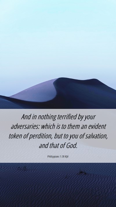 Picture 06 - Philippians 1:28 KJV Mobile Phone Wallpaper - And in nothing terrified by your adversaries: - Mobile Bible Verse Wallpaper