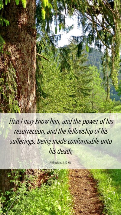 Picture 06 - Philippians 3:10 KJV Mobile Phone Wallpaper - That I may know him, and the power of his - Mobile Bible Verse Wallpaper