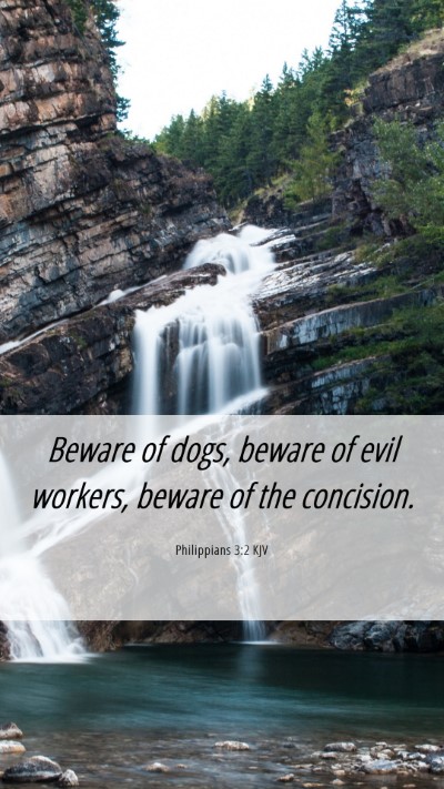 Picture 06 - Philippians 3:2 KJV Mobile Phone Wallpaper - Beware of dogs, beware of evil workers, beware of - Mobile Bible Verse Wallpaper