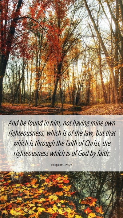 Picture 06 - Philippians 3:9 KJV Mobile Phone Wallpaper - And be found in him, not having mine own - Mobile Bible Verse Wallpaper