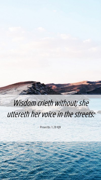 Picture 06 - Proverbs 1:20 KJV Mobile Phone Wallpaper - Wisdom crieth without; she uttereth her voice in - Mobile Bible Verse Wallpaper