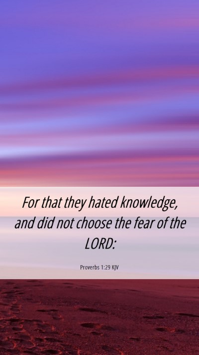 Picture 06 - Proverbs 1:29 KJV Mobile Phone Wallpaper - For that they hated knowledge, and did not choose - Mobile Bible Verse Wallpaper