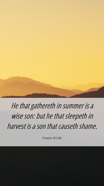 Picture 06 - Proverbs 10:5 KJV Mobile Phone Wallpaper - He that gathereth in summer is a wise son: but he - Mobile Bible Verse Wallpaper