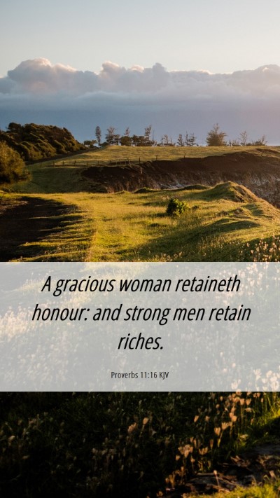 Picture 06 - Proverbs 11:16 KJV Mobile Phone Wallpaper - A gracious woman retaineth honour: and strong men - Mobile Bible Verse Wallpaper