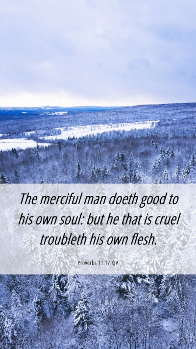 Picture 06 - Proverbs 11:17 KJV Mobile Phone Wallpaper - The merciful man doeth good to his own soul: but - Mobile Bible Verse Wallpaper