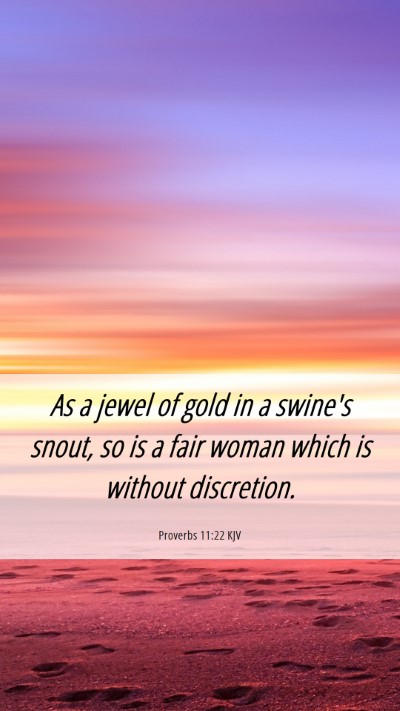 Picture 06 - Proverbs 11:22 KJV Mobile Phone Wallpaper - As a jewel of gold in a swine's snout, so is a - Mobile Bible Verse Wallpaper