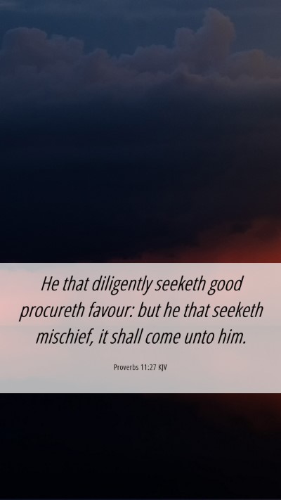Picture 06 - Proverbs 11:27 KJV Mobile Phone Wallpaper - He that diligently seeketh good procureth favour: - Mobile Bible Verse Wallpaper