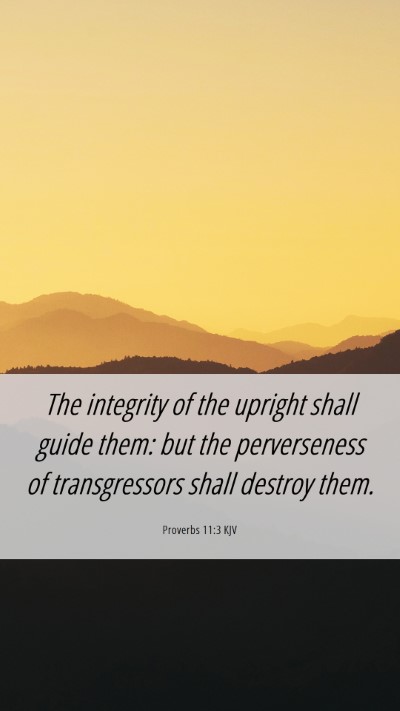 Picture 06 - Proverbs 11:3 KJV Mobile Phone Wallpaper - The integrity of the upright shall guide them: - Mobile Bible Verse Wallpaper