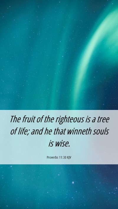 Picture 06 - Proverbs 11:30 KJV Mobile Phone Wallpaper - The fruit of the righteous is a tree of life; and - Mobile Bible Verse Wallpaper