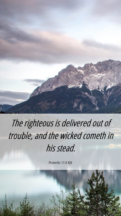 Picture 06 - Proverbs 11:8 KJV Mobile Phone Wallpaper - The righteous is delivered out of trouble, and - Mobile Bible Verse Wallpaper