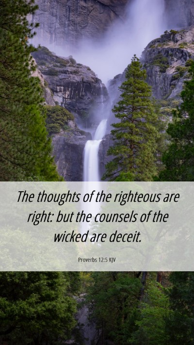 Picture 06 - Proverbs 12:5 KJV Mobile Phone Wallpaper - The thoughts of the righteous are right: but the - Mobile Bible Verse Wallpaper