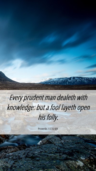 Picture 06 - Proverbs 13:16 KJV Mobile Phone Wallpaper - Every prudent man dealeth with knowledge: but a - Mobile Bible Verse Wallpaper