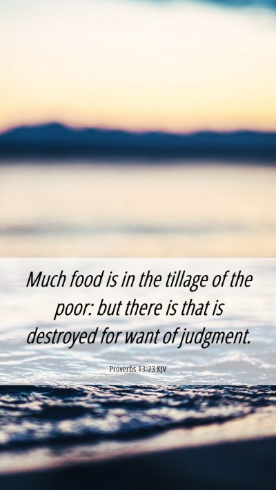 Picture 06 - Proverbs 13:23 KJV Mobile Phone Wallpaper - Much food is in the tillage of the poor: but - Mobile Bible Verse Wallpaper