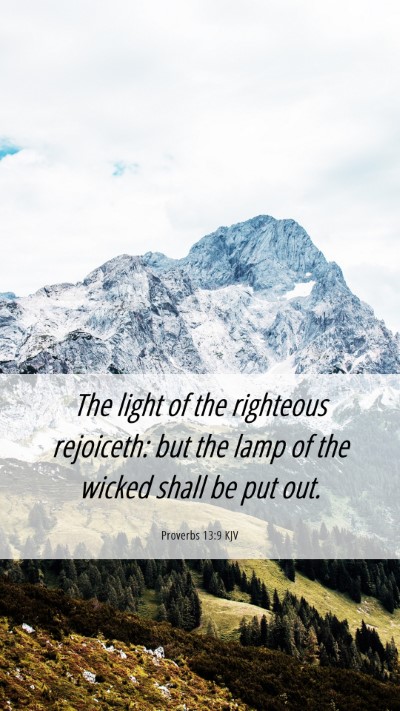 Picture 06 - Proverbs 13:9 KJV Mobile Phone Wallpaper - The light of the righteous rejoiceth: but the - Mobile Bible Verse Wallpaper