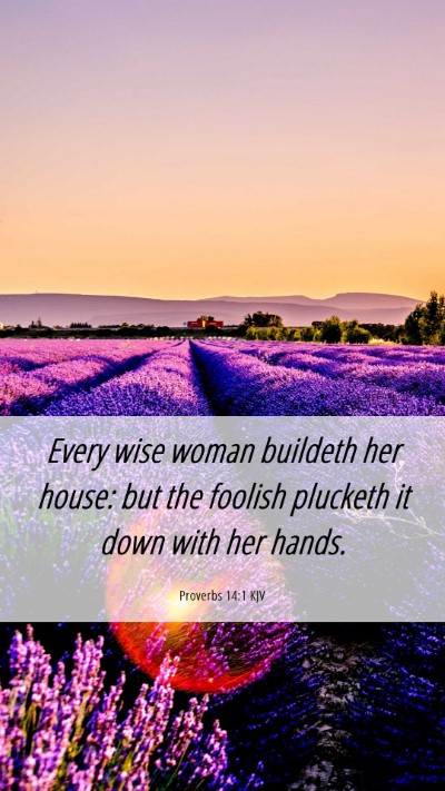 Picture 06 - Proverbs 14:1 KJV Mobile Phone Wallpaper - Every wise woman buildeth her house: but the - Mobile Bible Verse Wallpaper
