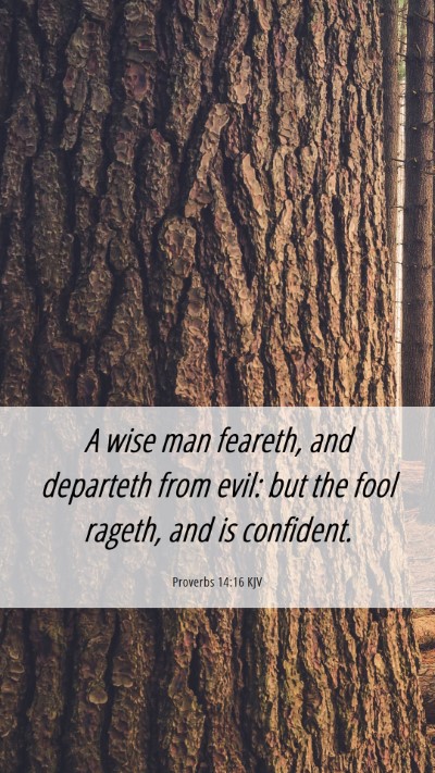 Picture 06 - Proverbs 14:16 KJV Mobile Phone Wallpaper - A wise man feareth, and departeth from evil: but - Mobile Bible Verse Wallpaper