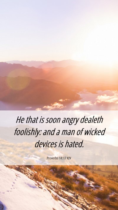 Picture 06 - Proverbs 14:17 KJV Mobile Phone Wallpaper - He that is soon angry dealeth foolishly: and a - Mobile Bible Verse Wallpaper