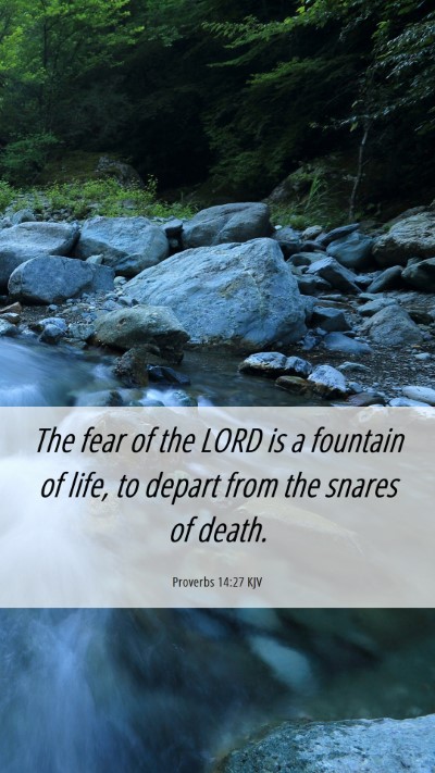 Picture 06 - Proverbs 14:27 KJV Mobile Phone Wallpaper - The fear of the LORD is a fountain of life, to - Mobile Bible Verse Wallpaper